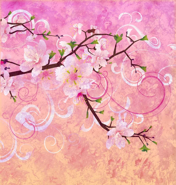 桃のピンク色の桜咲くグランジ背景 — ストック写真