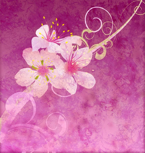 Pink flowers on dark pink background grunge illustration — Stock Photo, Image