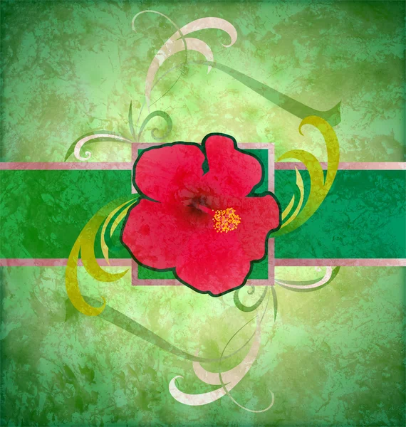 Bunte grafische Blumen auf Grunge-Aquarell-Hintergrund — Stockfoto