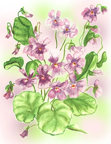 Βιολέτες λουλουδιών νερομπογιάς — Φωτογραφία Αρχείου