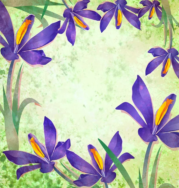 Grunge jarní květ crocus rám se zeleným pozadím — Stock fotografie