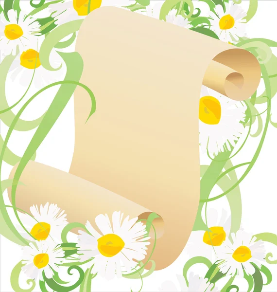 Flores de margarita, hierba verde e ilustración de pergamino de papel viejo — Foto de Stock