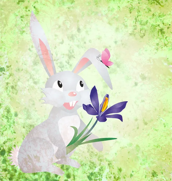 Easter rabbit with crocus flower on grunge paper green backgroun — Stock Photo, Image