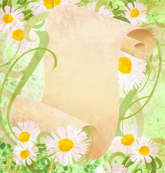Madeliefjebloemen, groen gras en oud papier scroll illustratie — Stockfoto