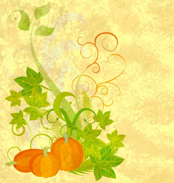 秋カボチャ オレンジ色の背景のテクスチャ — ストック写真