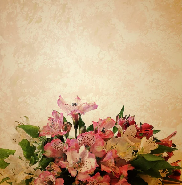 Rózsaszín virágok virágzó fa brunch mély bokeh — Stock Fotó
