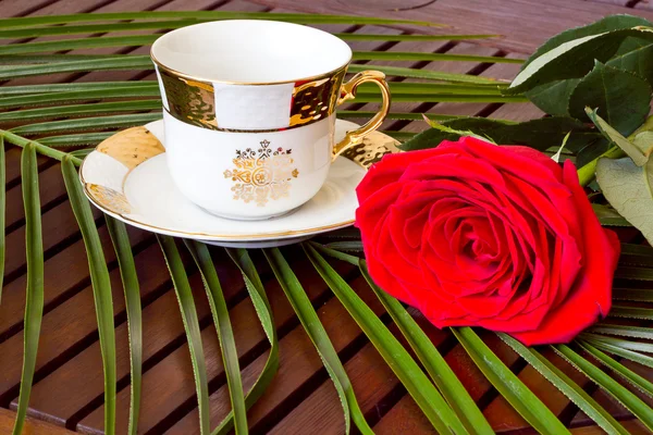 Τσάι κατσαρόλα, κύπελλα < τριαντάφυλλα και πράσινο τσάι — Φωτογραφία Αρχείου
