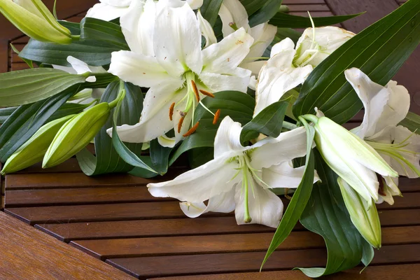Lilies on the table — Stock Photo, Image