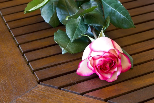 Rosa na mesa — Fotografia de Stock