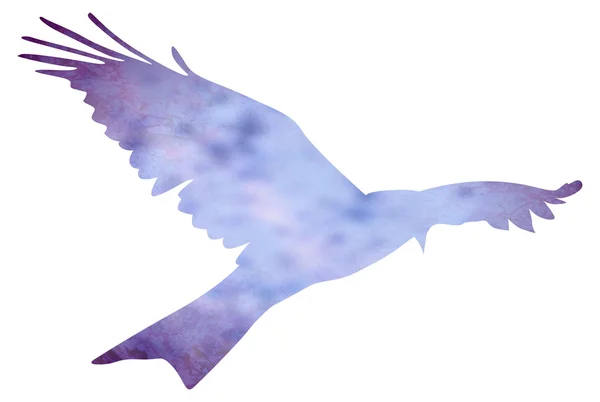 Синяя птица, окрашенная акварелью — стоковое фото