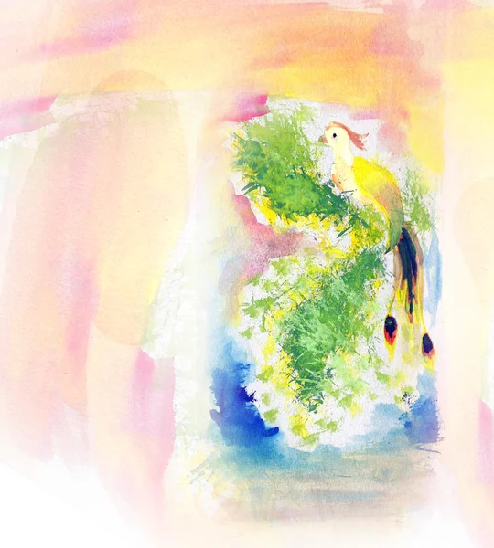 Colorful watercolor paint bird illustration — Stock Photo, Image