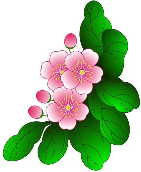 Spring flower — Stock Vector