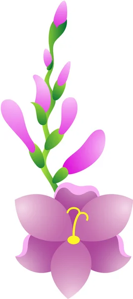 Gladiolus Flower — Stock Vector