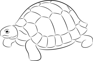 Tortoise clipart