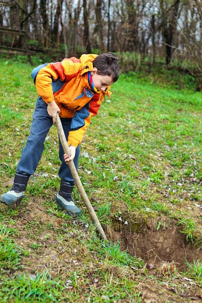 Мальчик копает в земле — стоковое фото