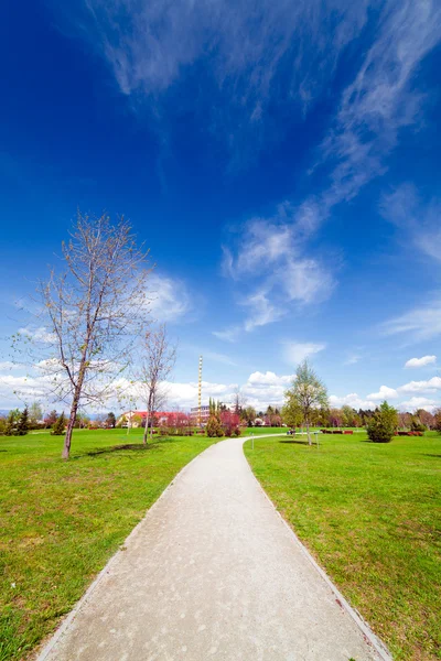 Landscape in the park — Stock Photo, Image