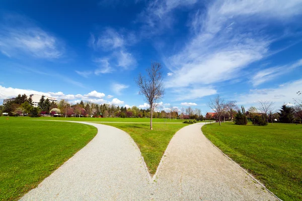 Landscape in the park — Stock Photo, Image