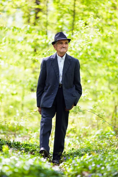 Hombre mayor caminando en el bosque —  Fotos de Stock