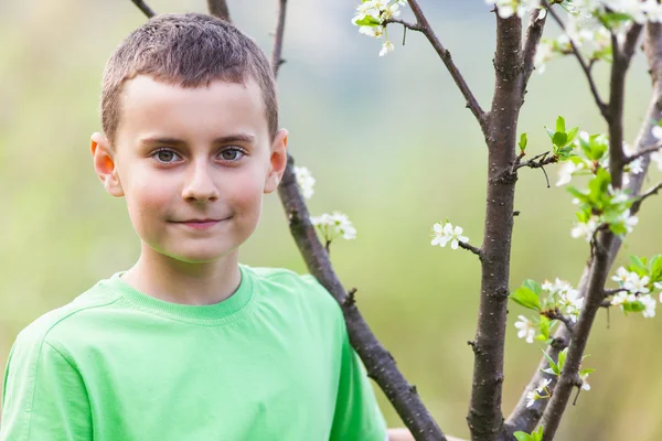 Jongen in een boomgaard — Stockfoto