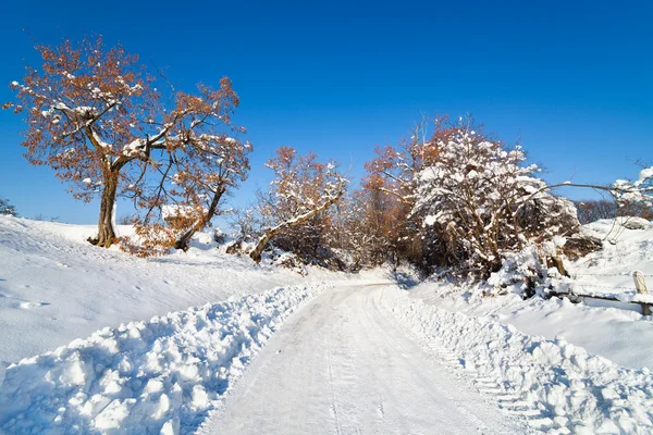 Camino nevado en el campo —  Fotos de Stock