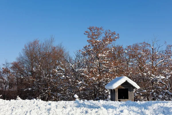 Trä shack på vintern — Stockfoto