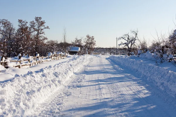 Kırsal kesimde karlı yol — Stok fotoğraf