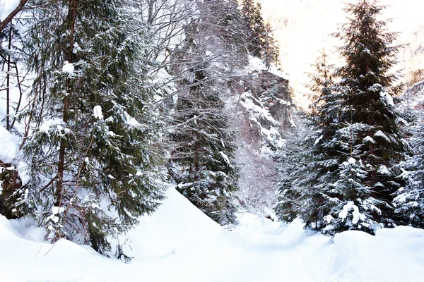 Straße mit Schnee bedeckt — Stockfoto