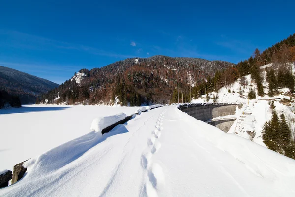Dam lake frozen — Stock Photo, Image