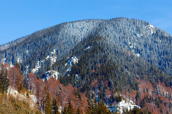 Montanha com pinhal — Fotografia de Stock