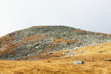 Scree and grass on mountain clipart