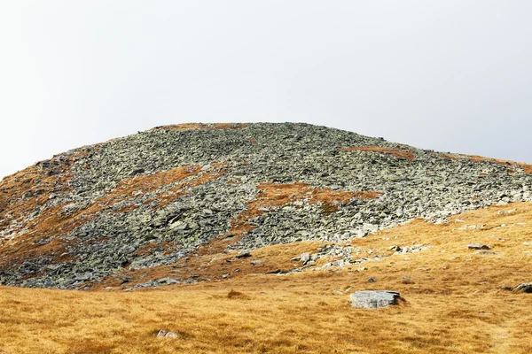 Scree e grama na montanha — Fotografia de Stock