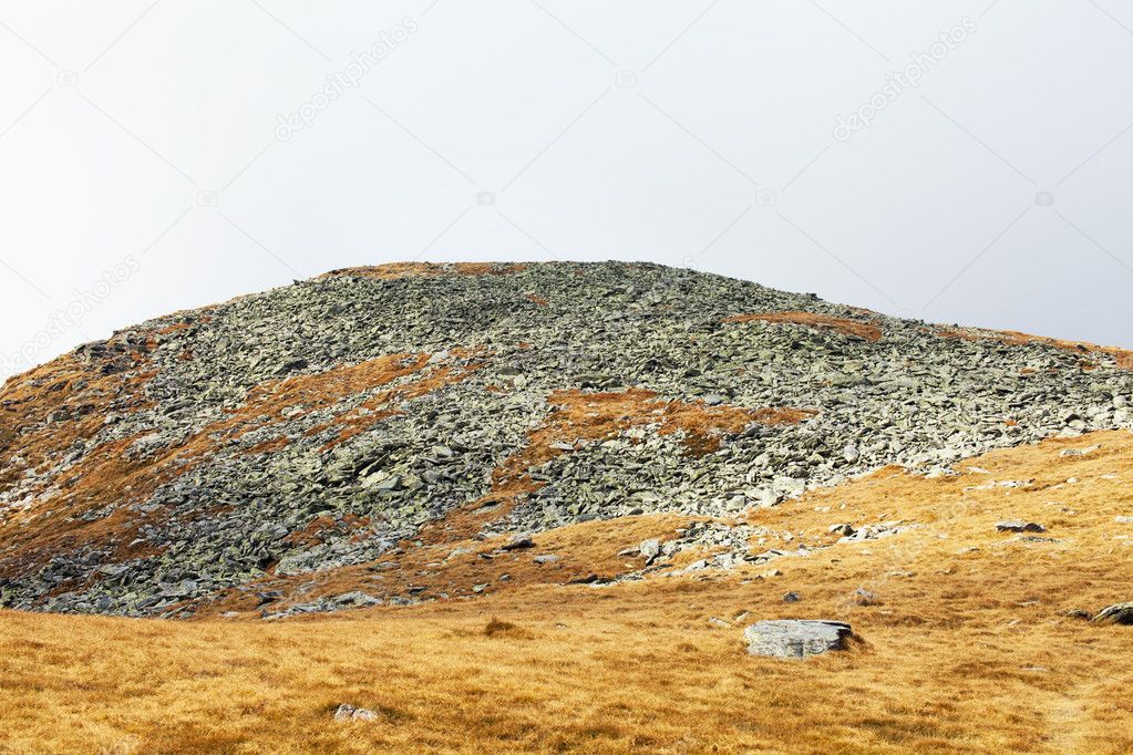 Scree and grass on mountain