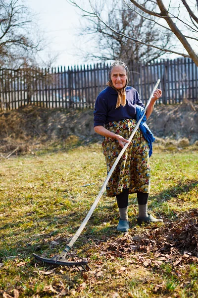 年配の女性の春の大掃除のクルミ果樹園 — ストック写真