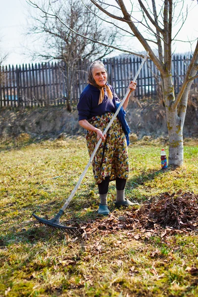 Ανώτερος γυναίκα ανοιξιάτικου καθαρισμού σε ένα περιβόλι καρυδιά — Φωτογραφία Αρχείου