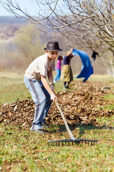 Family at work in an orchard — Stock Photo, Image