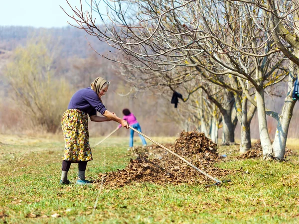 Mãe e filha trabalhando em um pomar — Fotografia de Stock