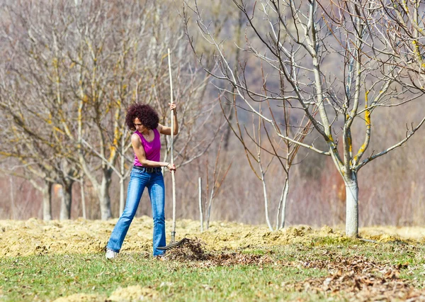 Молодая женщина с граблями в саду — стоковое фото