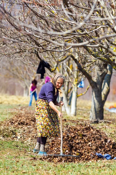 Mother and daughter working in an orchard — Stock Photo, Image