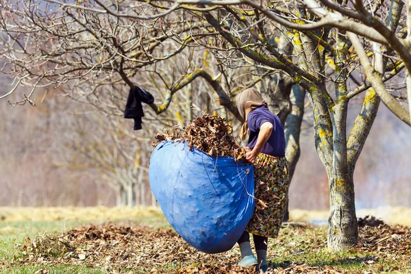 Old woman spring cleaning — Stock Photo, Image