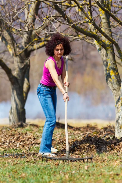 Молодая женщина с граблями в саду — стоковое фото