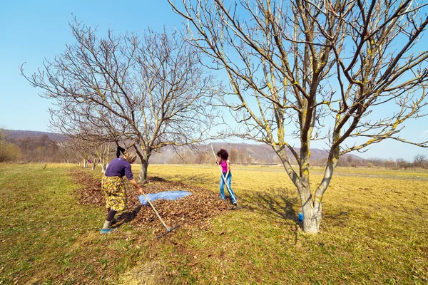 Mutter und Tochter arbeiten im Obstgarten — Stockfoto