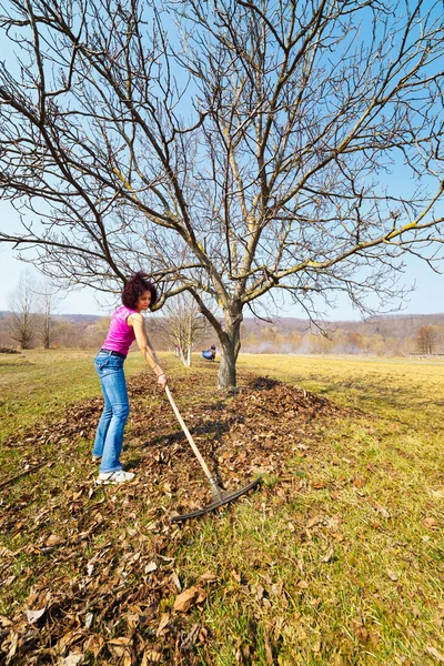Jonge vrouw met een hark in een boomgaard — Stockfoto