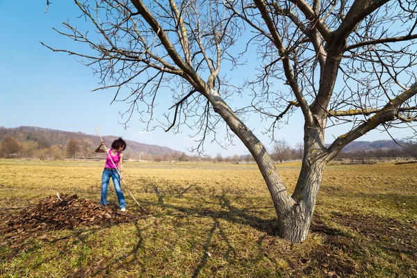 Jonge vrouw met een hark in een boomgaard — Stockfoto