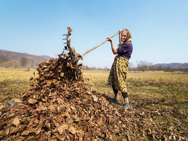 Senior woman with a rake — Stock Photo, Image