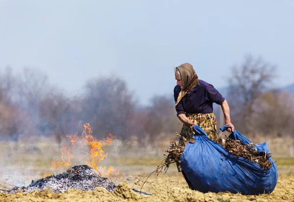 Idősebb vidéki nő égő lehullott levelek — Stock Fotó
