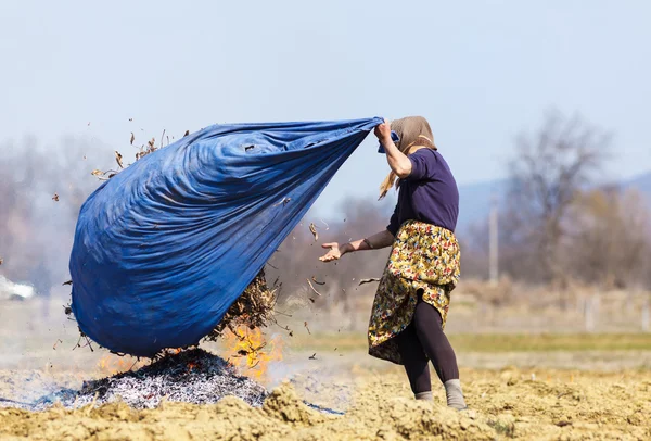 Mujer rural mayor quemando hojas caídas — Foto de Stock