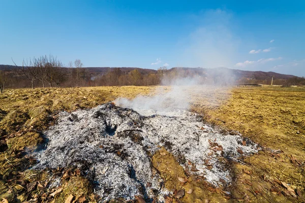 Feuer mit abgestorbenem Laub auf dem Land — Stockfoto