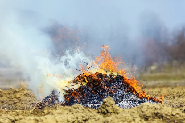 Tűz készült halott levelek a vidéki — Stock Fotó