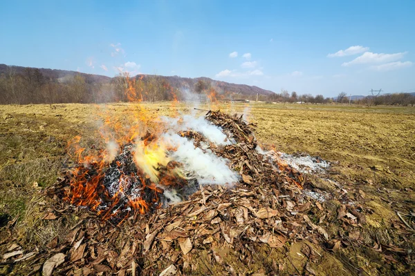 Fuego hecho con hojas muertas en el campo — Foto de Stock
