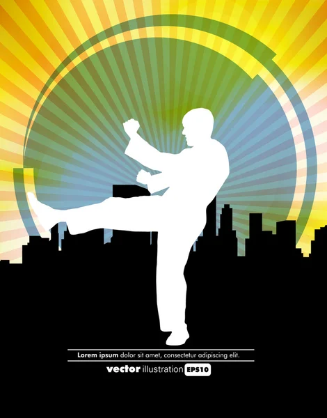 Deportes. Ilustración de karate — Vector de stock
